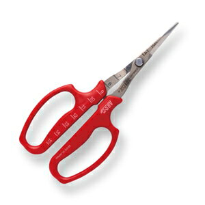 AXR[|[V ԂǂE n (uX^[pbN) 321DX-T-BP ARS CORPORATION Ă@|@̉ʁ@@ʎ@ʕ@