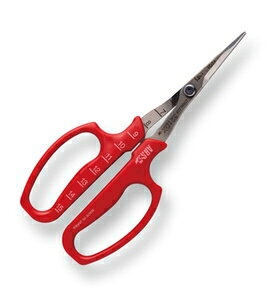 AXR[|[V ԂǂE \n (uX^[pbN) 321DX-M-BP ARS CORPORATION Ă@|@̉ʁ@@ʎ@ʕ@