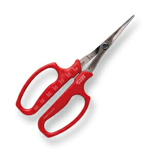 AXR[|[V ԂǂE Ȑn (ܓ) 321DX-M ARS CORPORATION Ă@|@̉ʁ@@ʎ@ʕ@