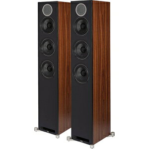 GbN 3EFCEtAEXs[J[iyA/2{1gj DEBUT-REF-DFR52(yA) ELACsDebut LINEt