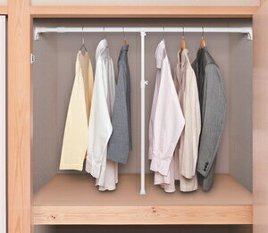 ϐ T|[g|[ (zCgESTCY) SAP-S ZLXC(SEKISUI) [SAPSZLXCWV]