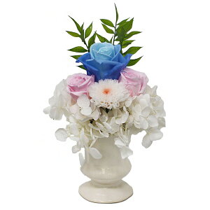 AK vU[uht[( -Uta-) AKM-012 ԃV[Y Ԋt^Cv [AKM012AK]