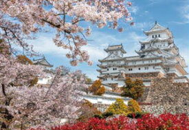やのまん 日本の風景 桜時の姫路城(兵庫) 1000コンパクトピース【13-08】 ジグソーパズル