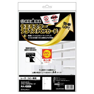 qTS ~X^[ vCXPOPJ[h pہmA4^e/zCg/1/12V[gn HiSAGO CPP101WS