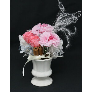 AK vU[uht[ VG MF-01(AK) t[Mtg Ԋt^Cv [MF01AK]