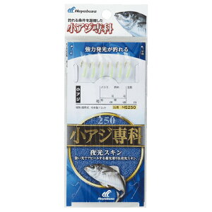 nuT AW XL HS250 4 nX0.6 HS250-4-0.6 HAYABUSA