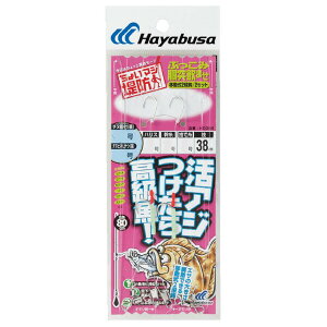 nuT Ԃݓˈ܂ ړ2ib HD300 5/4 nX5 HD300-5-5 HAYABUSA