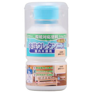 aMyCg E^jX 130ml(N[) #941151(V) Washin Paint