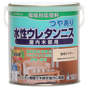 aMyCg E^jX 0.7L(N[) #941701(V) Washin Paint