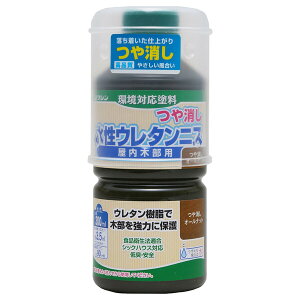 aMyCg E^jX 300ml(I[ibg) #800343(V) Washin Paint