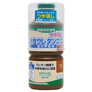 aMyCg E^jX 300ml(₫) #800345(V) Washin Paint