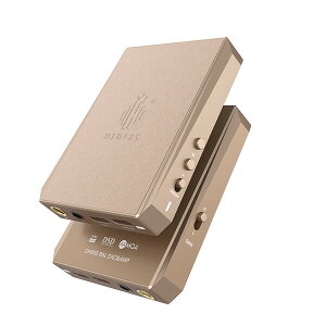 HIDIZS �|�[�^�u��DAC(�V�����p��) DH80S-CHAMPAGNE-GOLD HIDIZS