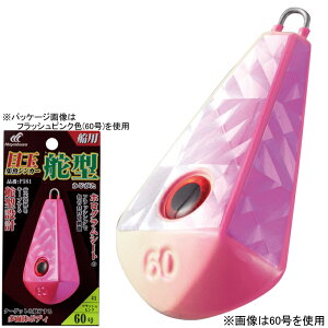 nuT ڋʏWVJ[ ǌ^ P581 40(sNO[) P581-40-5 HAYABUSA