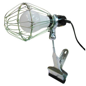 TRAD LEDNbv[NCg 60` F #316352 CLW-7W LEDv LEDv LEDCg