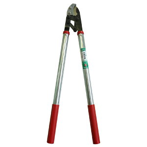 sita } A~ n60mm #331118 A118 A118 ͂ nT~