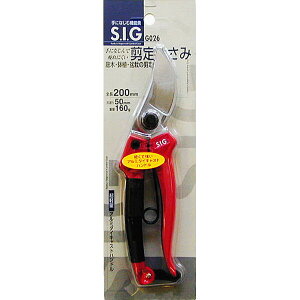 SIG ͂ S200mm #108126 G026 G026 nT~ 