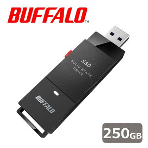 obt@[bBUFFALO USB 3.2(Gen 1)Ή |[^uSSD 250GB SSD-PUT250U3-BKC