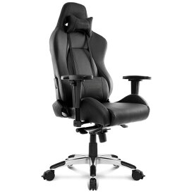 AKRacing（エーケーレーシング） オフィスチェア （レイブン） AKレーシング　Premium Gaming Chair Low Edition AKR-PREMIUM/L-RAVEN