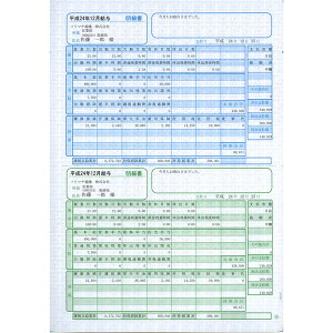 ソリマチ 給与・賞与明細書 (明細ヨコ型) (500枚入) SR231