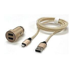 A[NX 3.1A USB`[W[LightningP[uiS[hj X-250