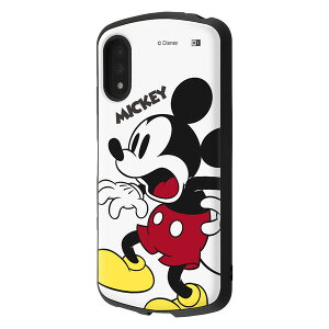 CAEg Xperia Ace IIiSO-41Bjp ϏՌ nCubhP[X ProCa fBYj[i~bL[}EXj RT-RDXPAM2AC3/MK