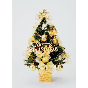 �t���[���b�N�X 60cm����c���[ XT-570 [XT570FLOREX]