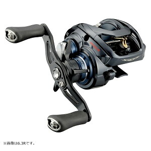 _C 21 XeB[Y A TW HLC 8.1R Enh 21 XeB[Y A TW HLC 8.1R DAIWA STEEZ A TW HLC