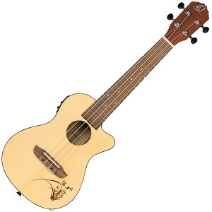 �I���e�K �G���N�g���b�N�R���T�[�g�E�N���� RU5CE BONFIRE SERIES