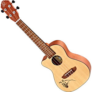 �I���e�K �G���N�g���b�N�R���T�[�g�E�N�����������p RU5CE-L