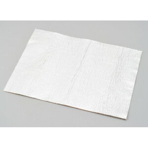 fCgi fMOXE[ A~V[gt 300mm×400mm 96243 DAYTONA