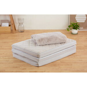 ACXI[} GA[}bgX Softe(F8cm)VO AMSF80-S IRIS Airy [AMSF80S]