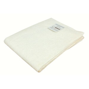 (Hayashi) oX^I uJ[ Q(AC{[E60×120cm) BI601213 [BI601213]