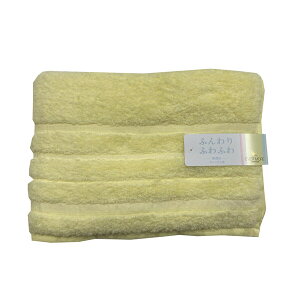 (Hayashi) oX^I Q GoAv~A LfB(CG[E60×120cm) BF701013 [BF701013]