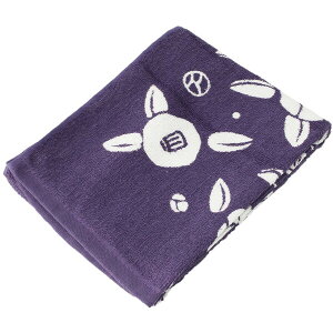 (Hayashi) B^I tFCX^I l̖h  FF210304 [FF210304]