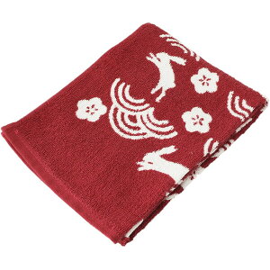 (Hayashi) B^I tFCX^I l̖h  FF210305 [FF210305]