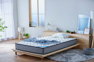 ACXI[} |PbgRC}bgX(22cmEzCg)Z~_u PMTS22N-SD IRIS [PMTS22NSD]