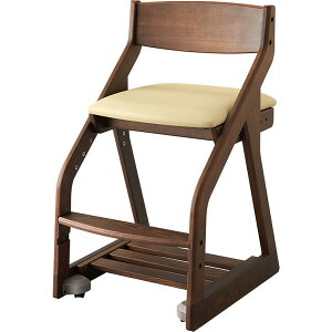 RCY~ R[fBl[g`FAiAC{[j BDC39WTIV KOIZUMI BEENOV[Y WTF [BDC39WTIV]