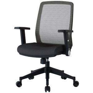 RCY~ ֗p`FA ItiVo[j JG4303SV KOIZUMI [JG4303SV]