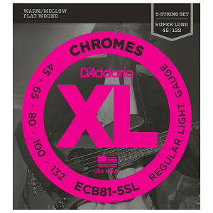 __I GLx[Xi5-String/Super Longj ECB81-5SL D'Addario@XL CHROMES (FLAT WOUND)
