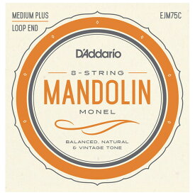 EJM75C ダダリオ マンドリン弦（Medium Plus 11-41） D'Addario　Monel Mandolin Strings