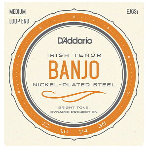 �_�_���I �o���W���[���iIrish Tenor Banjo Nickel Plated 12-36�j EJ63I D'Addario�@NICKEL-PLATED STEEL