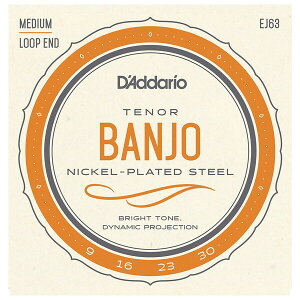 �_�_���I �o���W���[���iTenor Banjo Nickel Plated 9-30�j EJ63 D'Addario�@NICKEL-PLATED STEEL