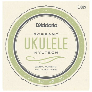 __I EN(\vm) EJ88S D'Addario Nyltech