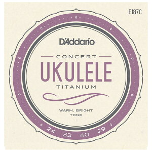 �_�_���I �E�N������(�R���T�[�g�@.025-.029) EJ87C D'Addario Pro-Arte Titanium