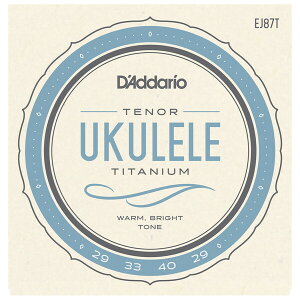 __I EN(ei[) EJ87T D'Addario Pro-Arte Titanium