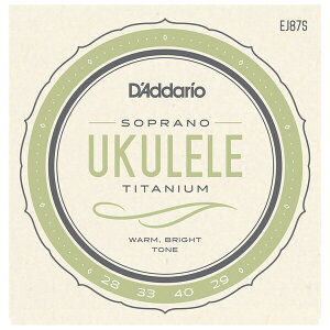 __I EN(\vm@.028-.029) EJ87S D'Addario Pro-Arte Titanium