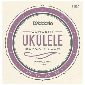 �_�_���I �E�N������(�R���T�[�g) EJ53C D'Addario Pro-Arte Rectified Nylon