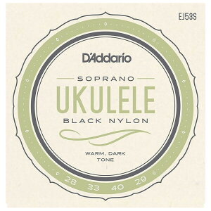 __I EN(\vm) EJ53S D'Addario Pro-Arte Rectified Nylon