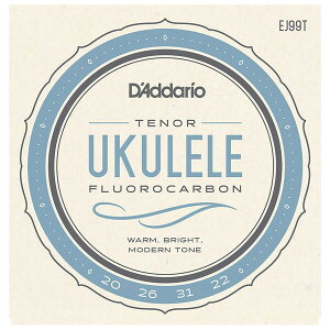 __I EN(ei[) EJ99T D'Addario Pro-Arte Carbon
