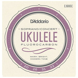 __I EN(\vm/RT[g) EJ99SC D'Addario Pro-Arte Carbon